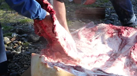 Cutting Large Pork Meat Stock Footage 46113077