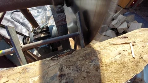 Cutting a Large Tree Log on a Circular Saw Bench for Firewood Stock Footage 333642662