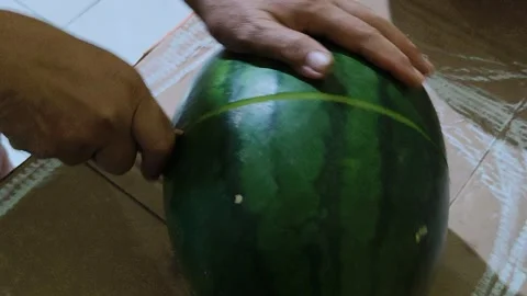 Cutting a large watermelon Stock Footage 304013531