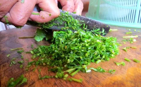 Cutting leaf vegetable to prepare a meal. Stock Photos