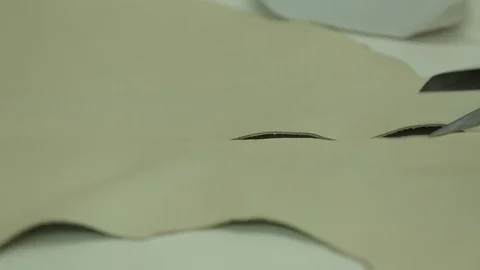 Cutting leather with scissors Stock Footage 100660586