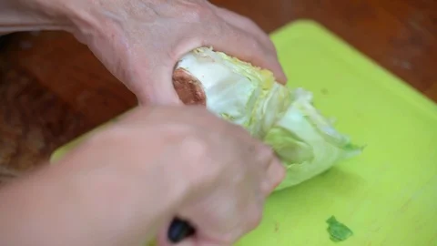Cutting Up Leatuce Stock Footage 92902057