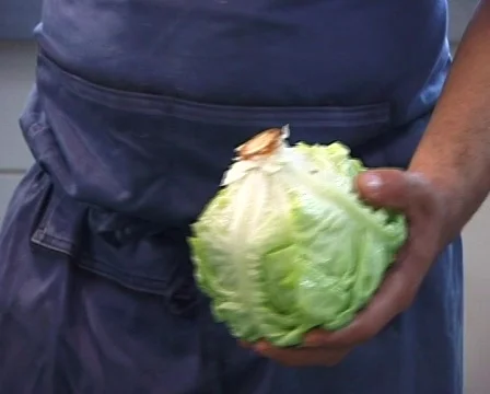 Cutting lettuce Stock Footage