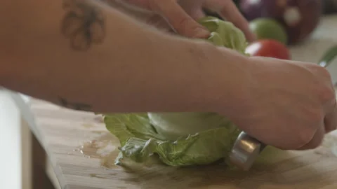 Cutting lettuce Stock Footage 155544312