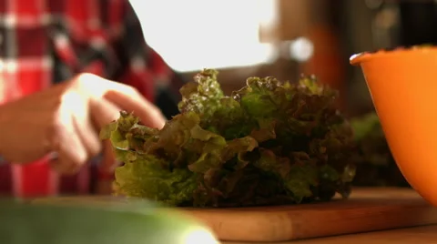 Cutting up Lettuce  for a Salad Stock Footage 58614914