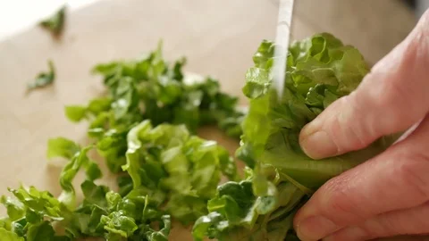 Cutting lettuce while making sandwiches Stock Footage 101592993