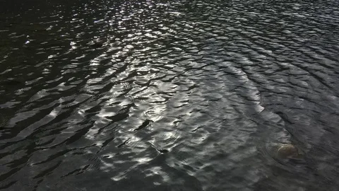 Cutting light on the water surface Stock Footage 123233699