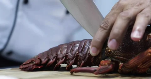 Cutting the lobster Video stock 287968155