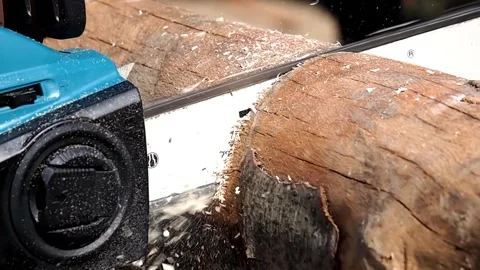 Cutting log with chainsaw Stock Footage 135729069