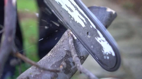 Cutting a Log with a Chainsaw, Slow Motion Stock Footage 121405151