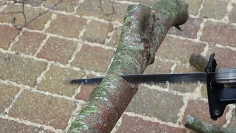 Cutting a Log with an Electric Saw Stock Footage 201212380