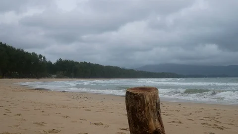 Cutting log stand on beach like a table for put something on ,  Background ar Stock-Footage 94499337
