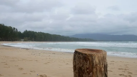 Cutting log stand on beach like a table for put something on ,  Background ar Stock-Footage 94519748