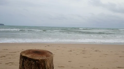 Cutting log stand on beach like a table for put something on ,  Background ar Stock-Footage 94527149