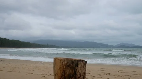 Cutting log stand on beach like a table for put something on ,  Background ar Stock-Footage 94531352