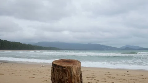 Cutting log stand on beach like a table for put something on ,  Background ar Stock-Footage 94531404