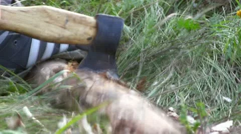 Cutting log of wood Stock Footage 12533859