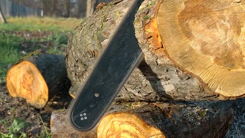 Cutting logs with a chainsaw in a forested area during daylight hours Stock Footage 325037200