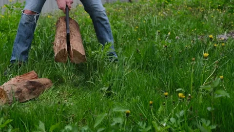 Cutting logs Stock Footage 149758827