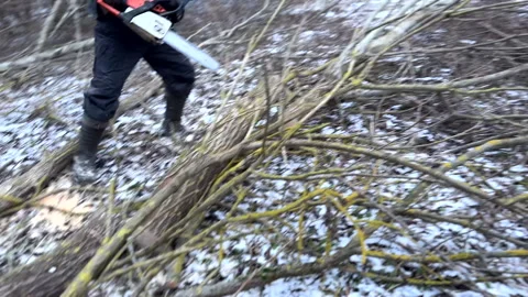 Cutting logs use chainsaw in forest. Woodcutter with Chainsaw on Firewood Stock Footage 297280250