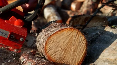 Cutting Logs Using Chainsaw In The Forest In Norway - Close Up Stock Footage 323145054
