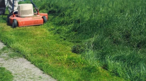 Cutting long Stock Video Pond5