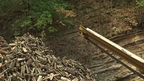 Cutting the long logs into smaller wood cuts for sale Stock Footage 214039711