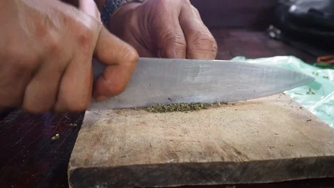 Cutting marijuana. Stock Footage 113763698