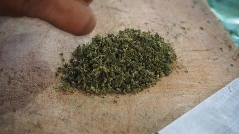 Cutting marijuana. Stock Photos