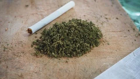 Cutting marijuana. Stock Photos