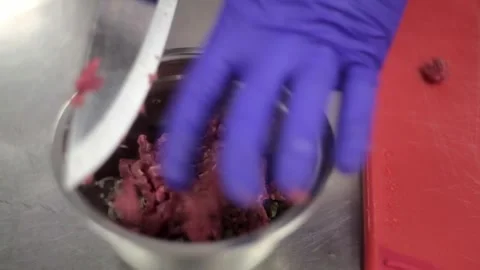 Cutting meat and placing it in a metal bowl Stock Footage 307340120