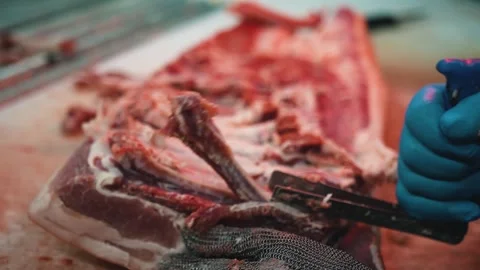 Cutting meat from bones. Meat processing plant Stock-Footage 241010069