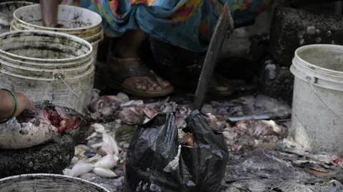 Cutting Meat  A Closeup Look at the Process Stock Footage 323998973