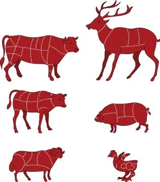 Cutting meat diagram 스톡 일러스트