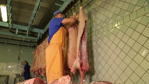 Cutting meat Stock Footage 74002480