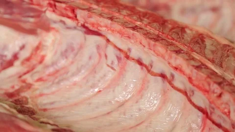 Cutting meat Stock Footage 74002546