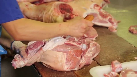 Cutting meat Stock Footage 74002568