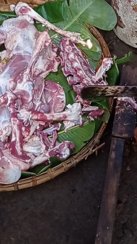 Cutting meat Stock Footage 301239079