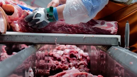 Cutting Meat at the Meat Factory.Working with a Sharp Knife Separate the Meat Stock Footage 102272639