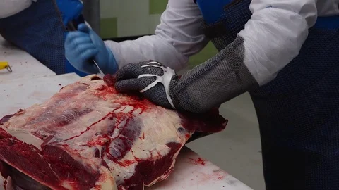 Cutting meat in production 動画素材 98741086