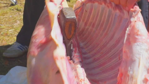 Cutting meat of a young sheep with an ax Stock Footage 112293444