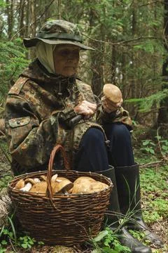 Cutting mushrooms Stock Photos