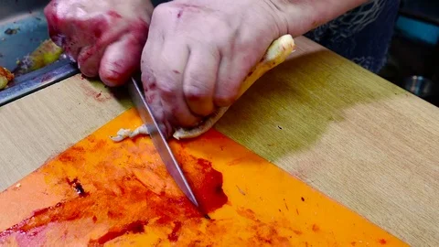 Cutting nails to a bird Stock Footage 78875338