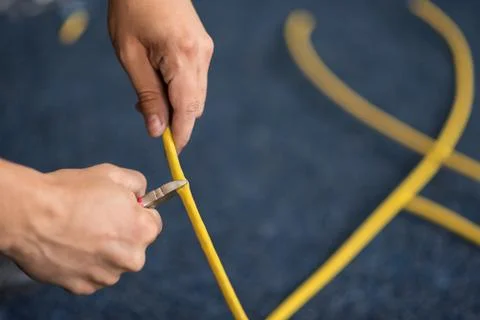 Cutting of the network cable with cutters, process of laying the local network Fotos Stock