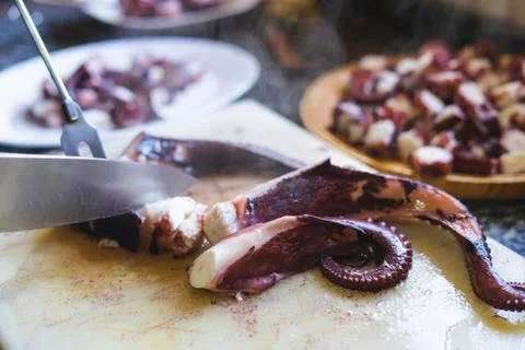 Cutting octopus on kitchen board. Stock Photos
