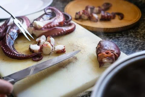 Cutting octopus on kitchen board. Stock Photos