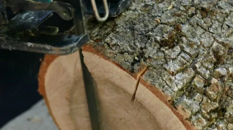 Cutting Old Logs Видео 58680689