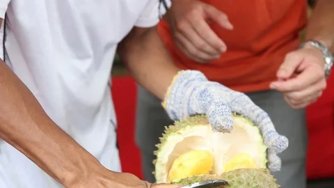 Cutting open a Durian fruit in Kuala Lumpur Malaysia Stock Footage 95368353