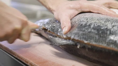 Cutting open fisch Stock Footage 104663588