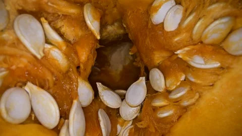 Cutting orange pumpkin with seeds close up Stock Footage 290387115